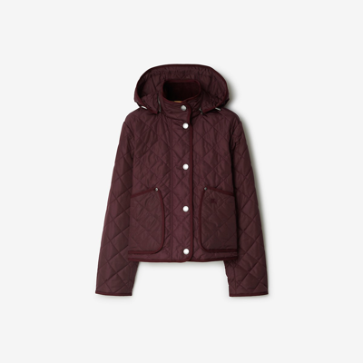 Burberry Quilted Nylon Cropped Jacket In Deep Claret