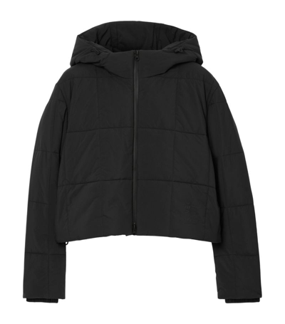 Burberry Hooded Cropped Quilted Jacket In Black