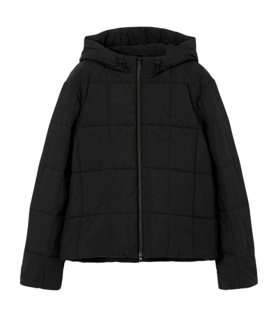 Burberry Quilted Nylon Hooded Jacket In Black