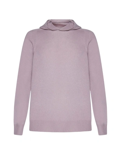 D 4.0 Sweaters In Pink