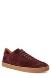 Bruno Magli Men's Bono Low-top Suede Sneakers In Bordeaux