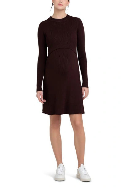 Ripe Maternity Maternity Ruby Rib Nursing Dress Maroon In Chocolate