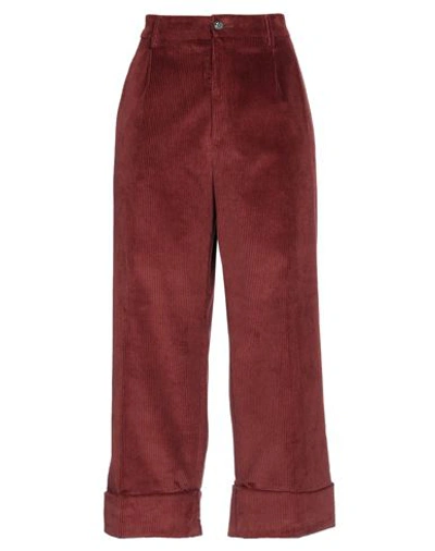 Berwich Woman Pants Burgundy Size 8 Cotton, Elastane In Red