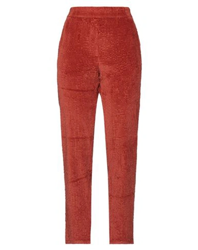 Momoní Woman Pants Tomato Red Size 6 Cotton, Modal, Elastane