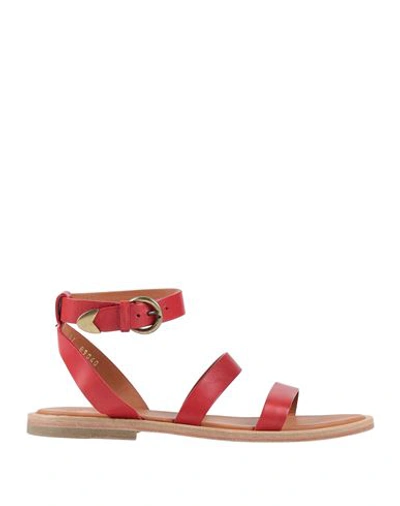 Buttero Woman Sandals Red Size 7 Leather