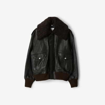 Burberry Straight-point Collar Leather Jacket In Otter