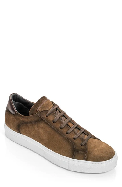 To Boot New York Men's Derrick Suede Low-top Trainers In Sigaro