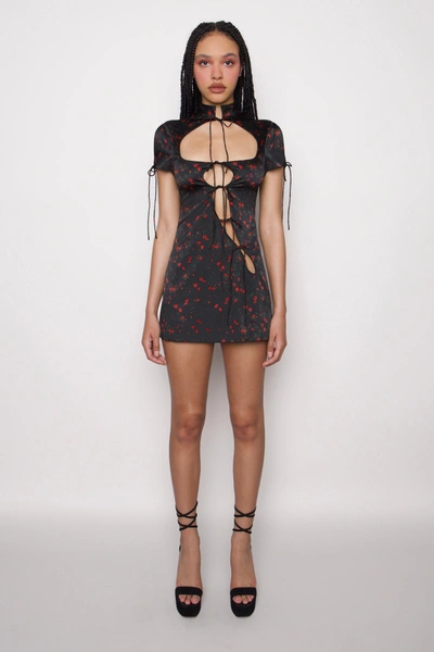 cut out tie babydoll dress Danielle Guizio Ny Cut-out Tie Babydoll Dress In Petite Rose