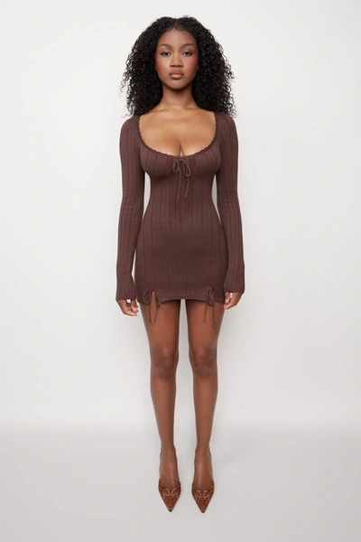 Danielle Guizio Ny Dainty Long Sleeve Knit Dress In Chocolate Brown