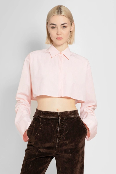 Loewe 短款棉府绸衬衫 In Pink