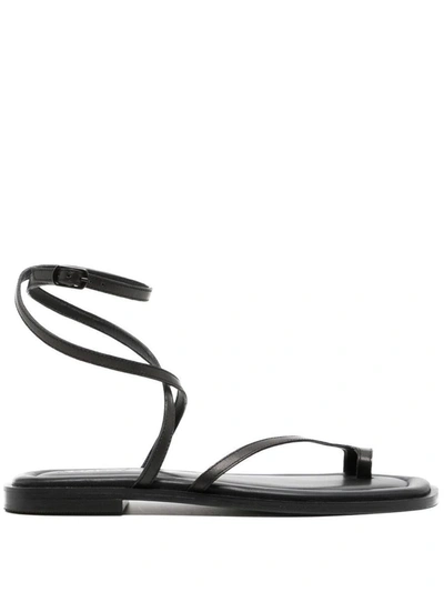 A.emery Piper Sandal In Black