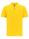 Roberto Collina Man Sweater Yellow Size 44 Cotton In Yellow