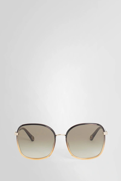 Chloé Woman Multicolor Eyewear