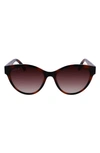 LACOSTE 55MM GRADIENT CAT EYE SUNGLASSES