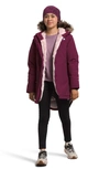 The North Face Kids' Arctic Waterproof 600-fill Power Down Parka In Boysenberry