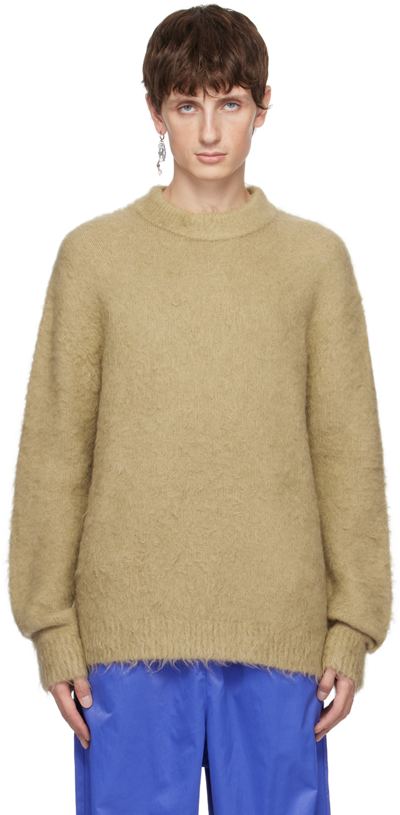 Acne Studios Jumper In Dark Beige