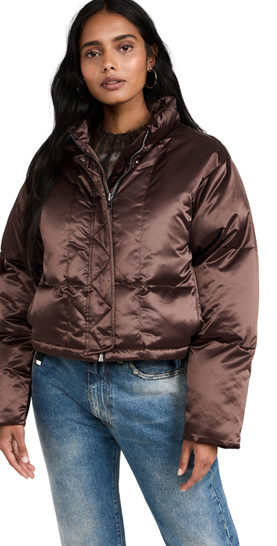 Shoreditch Ski Club Ssc Roux Short Puffer Jacket In Brown