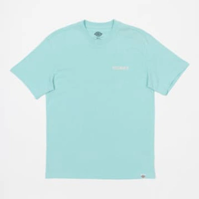 Dickies Hays T-shirt In Pastel Turquoise In Blue