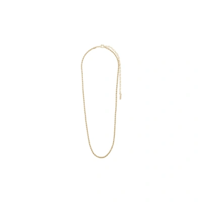 Pilgrim Pam Rope Chain Necklace In Gold
