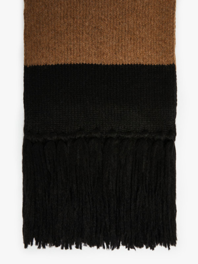 Max Mara Scarf In Alpaca And Wool In Camel