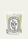 Diptyque Tubereuse (tuberose) Scented Candle, 6.5 Oz. In Na