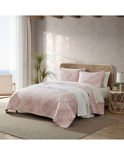 Tommy Bahama Distressed Water Leaves Reversible Quilt Set