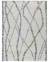 Exquisite Rugs Tahoe Wool Area Rug In White