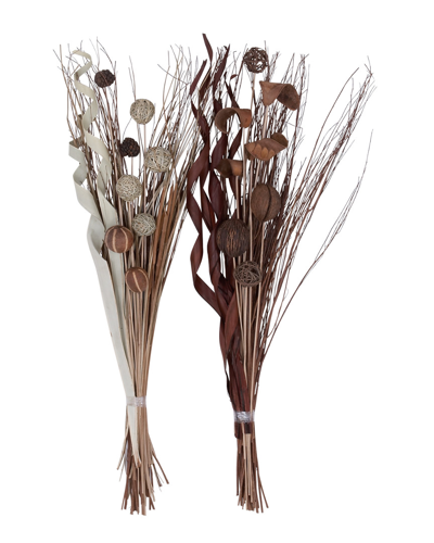 Peyton Lane Set Of 2 Dried Florals In Natural