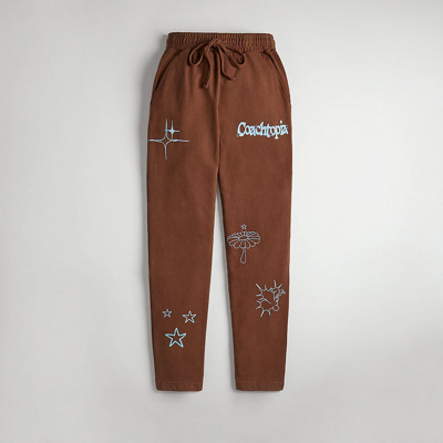 Coach Topia In Dark Brown