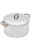 GREAT JONES BIG DEAL 8-QUART STAINLESS STEEL STOCKPOT