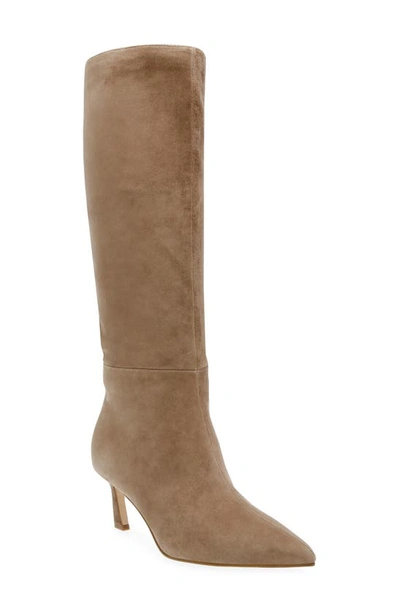 Steve Madden Lavan Pointed Toe Knee High Boot In Oatmeal Suede