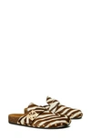 Zebra Print Calf Hair/ Gold