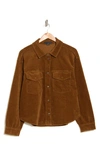 Sanctuary Dakota Corduroy Shacket In Pecan