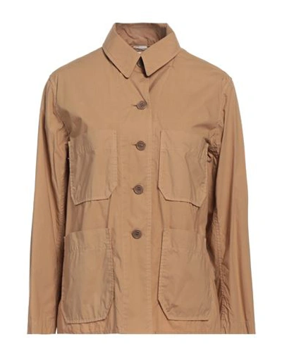 Aspesi Woman Shirt Camel Size 6 Cotton, Elastane In Beige