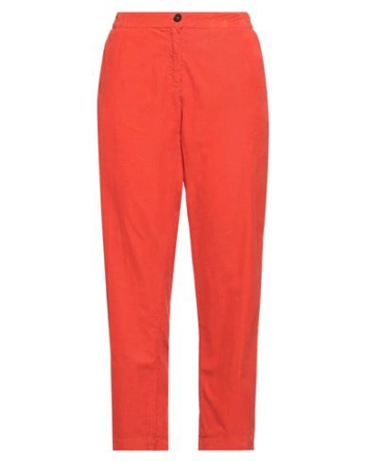 Massimo Alba Woman Pants Orange Size 10 Cotton