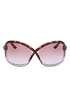 Tom Ford Bettina 68mm Oversize Butterfly Sunglasses In Blonde Havana / Violet