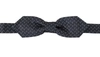 Dolce & Gabbana Blue Gray Polka Dot 100% Silk Neck Papillon Tie In Blue