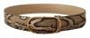 DOLCE & GABBANA BROWN EXOTIC LEATHER GOLD OVAL BUCKLE BELT