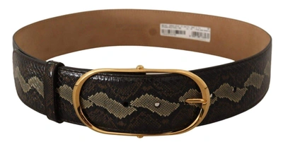 Dolce & Gabbana Brown Exotic Leather Gold Oval Buckle Belt