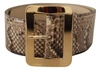 Dolce & Gabbana Brown Exotic Wide Waist Leather Gold Metal Buckle Belt In Brown