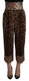 Dolce & Gabbana Brown Leopard Gold Jacquard High Waist Pants In Brown