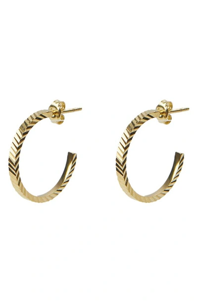 Argento Vivo Sterling Silver Medium Hoop Earrings In Gold