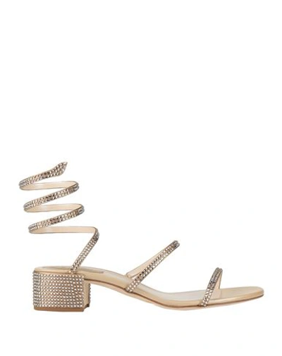 René Caovilla Rene' Caovilla Woman Sandals Beige Size 10.5 Textile Fibers In Beige