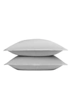 Parachute Set Of 2 Brushed Cotton Shams In Mist