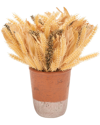 Safavieh Faux 14 Wheat Ear Potted Arrangement