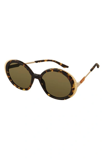 Coco And Breezy Wisdom 55mm Round Sunglasses In Tortoise/ Orange