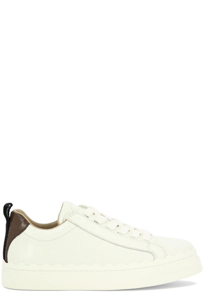 Chloé Lauren Low-top Sneakers In White