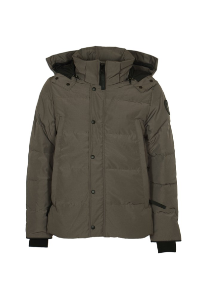 Canada Goose Zipped Hooded Down Jacket In Grey