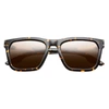 Ivi Vision Gravitas - Bronze Ar Lens In Polished Ambercomb Tortoise - Brushed Gold In Multi