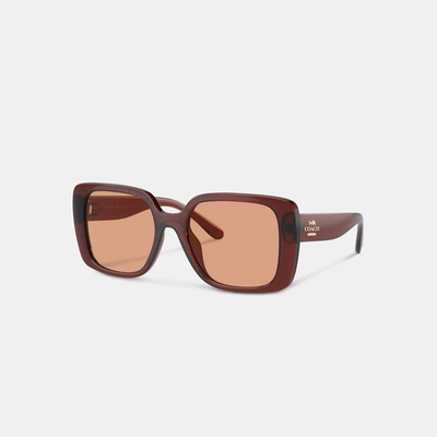 Coach Outlet Oversized Square Sunglasses In Brown
